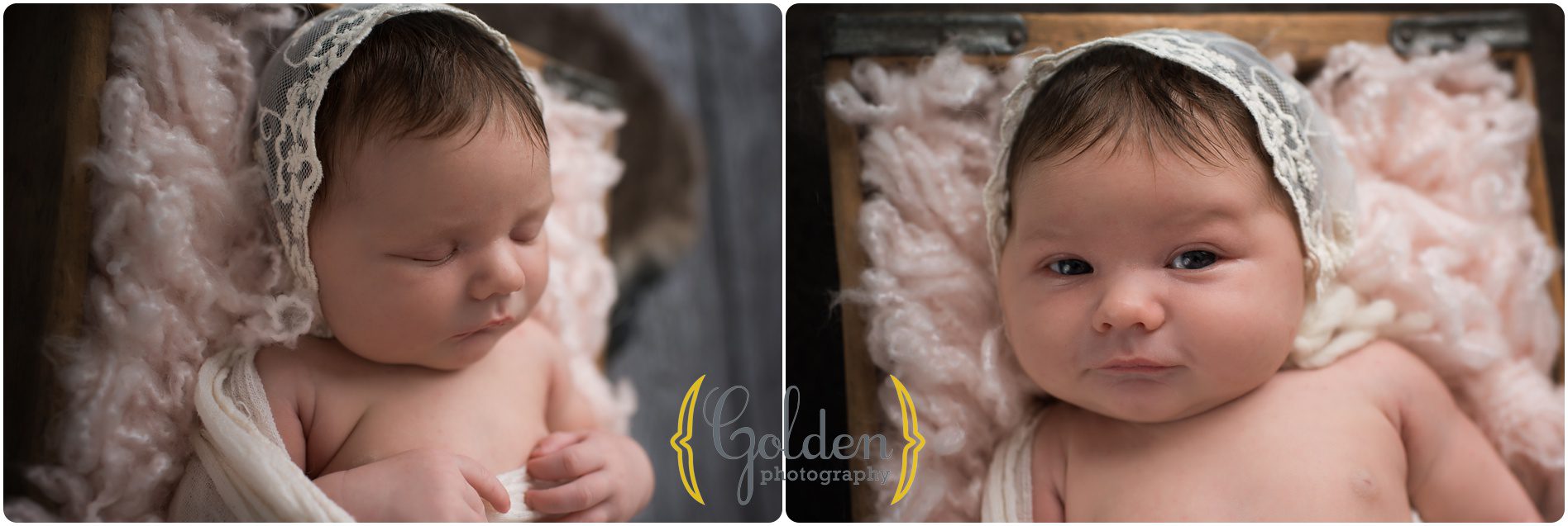 Lake Zurich baby photography