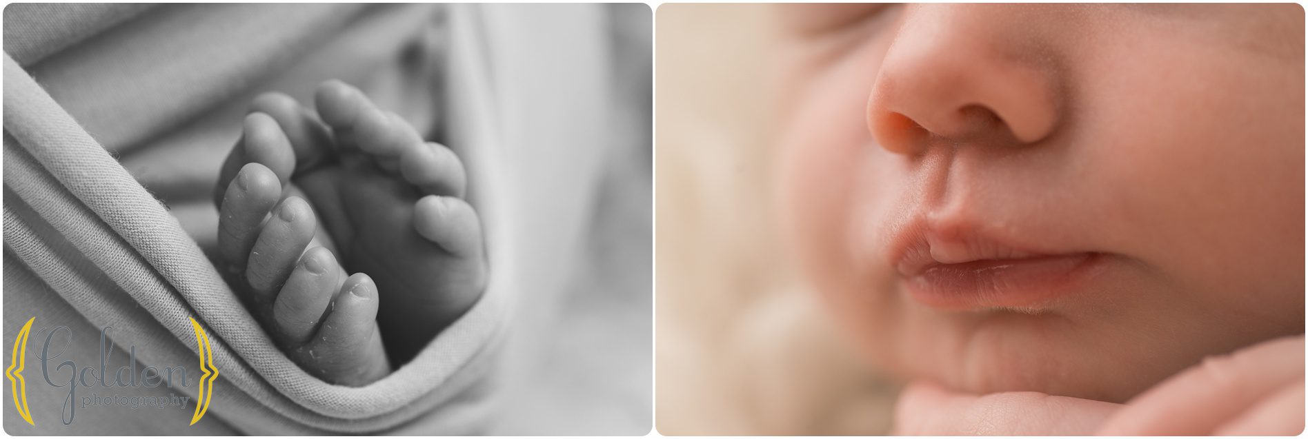 Lake Zurich IL best photographer