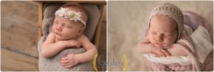 Lake Zurich IL newborn photographer