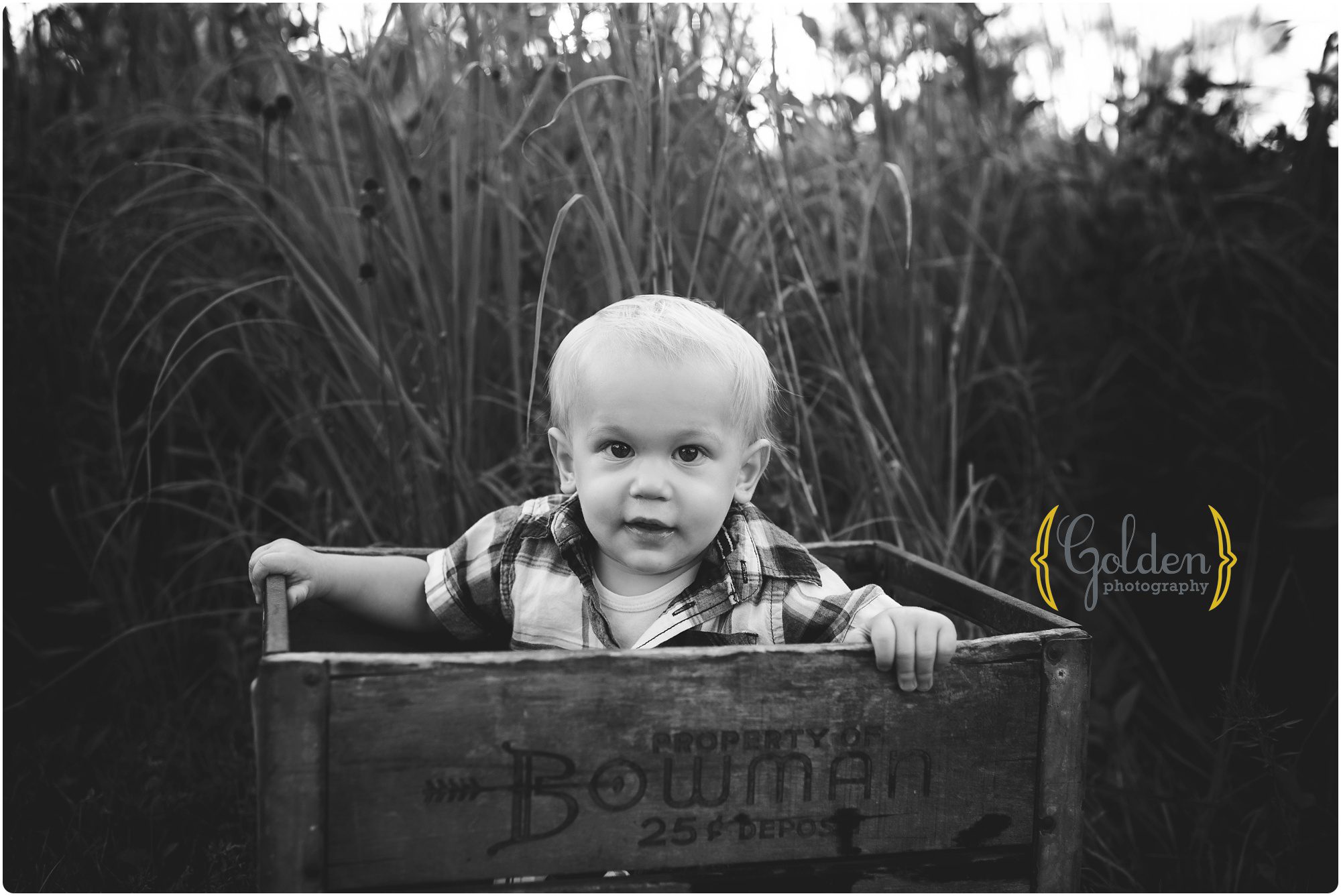 chicago il baby photographer