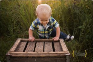 baby photographer kildeer il
