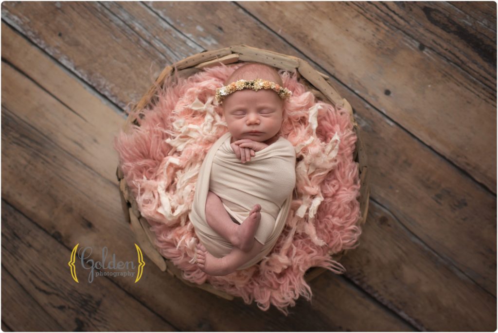 baby photography Barrington IL