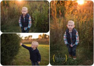 family photographer Schaumburg IL