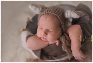 best newborn photographer IL