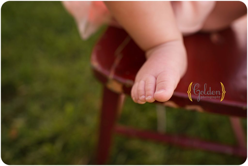 best family photographer Chicago IL