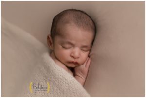 best newborn photographer Chicago