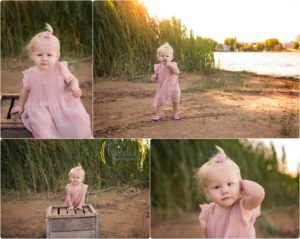 family photographer Chicago