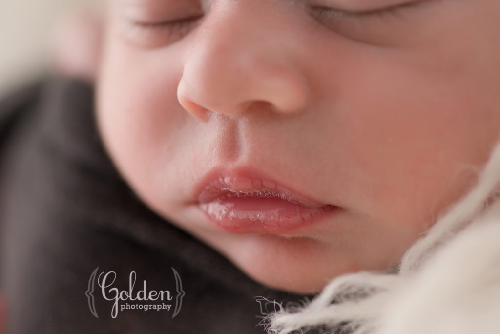 baby photos Libertyville IL