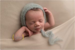 Newborn Photographer Palatine IL