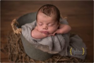 Palatine IL newborn photographer