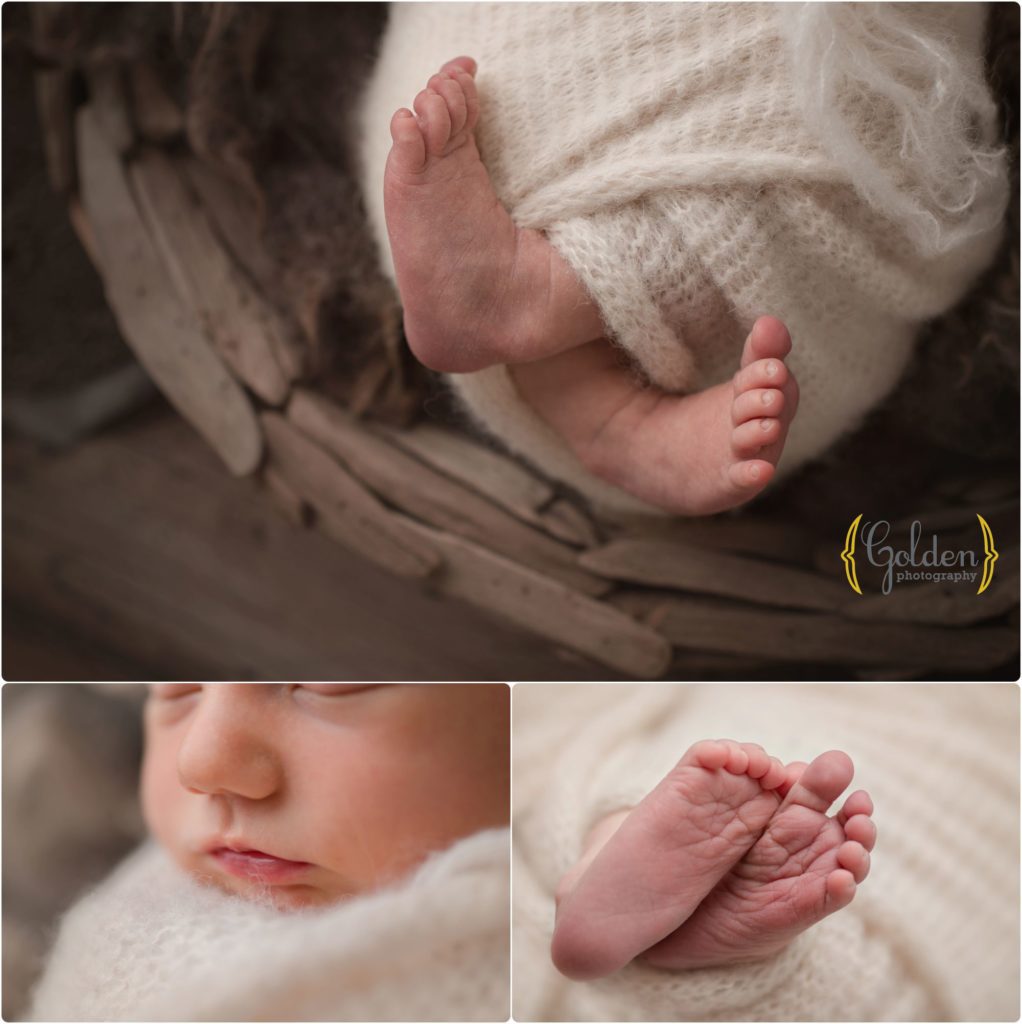 Chicago suburbs newborn photographer