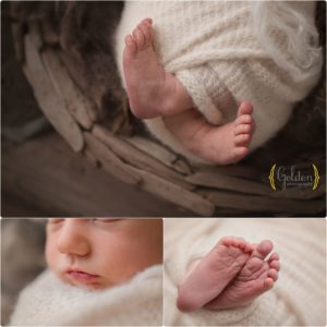 Chicago suburbs newborn photographer