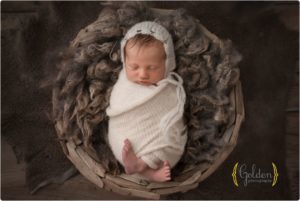 best newborn photographer Chicago IL