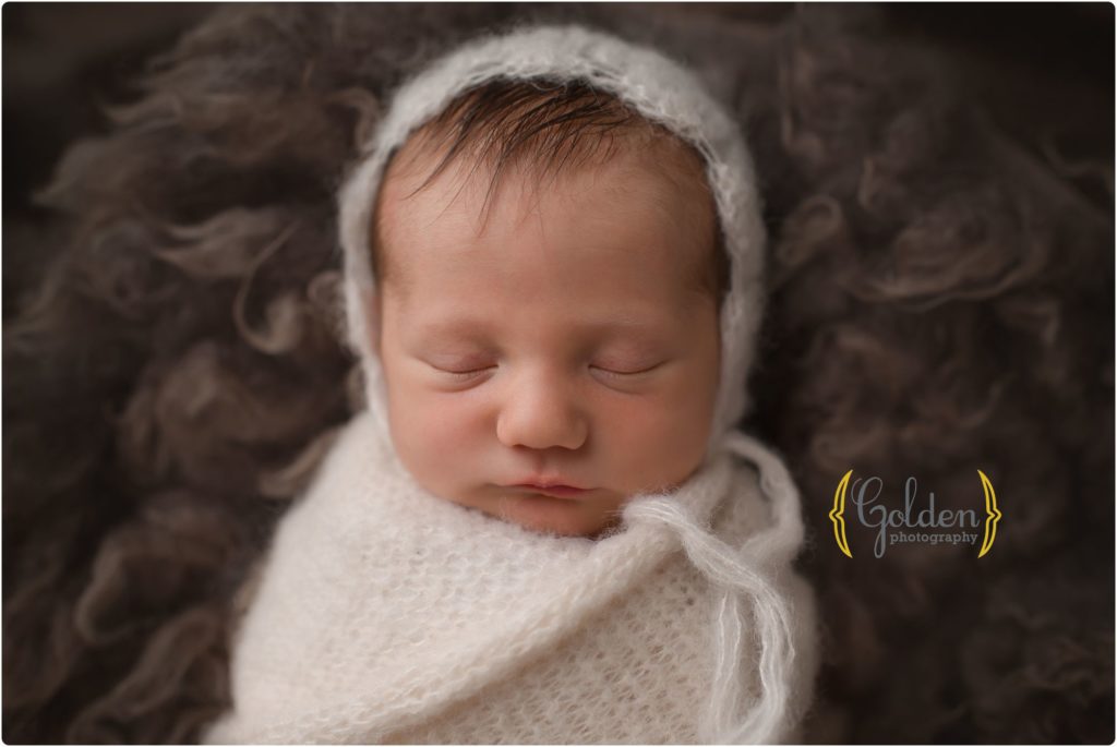 newborn photographer Lake County IL