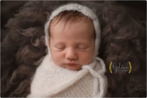 newborn photographer Lake County IL