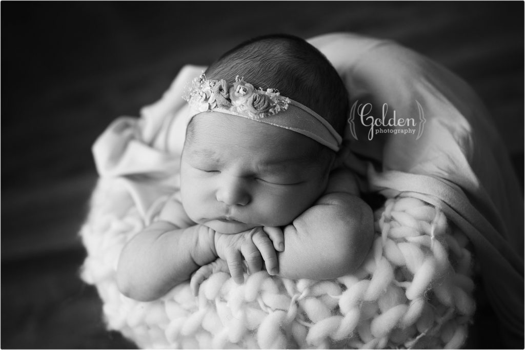baby girl in bucket in newborn studio