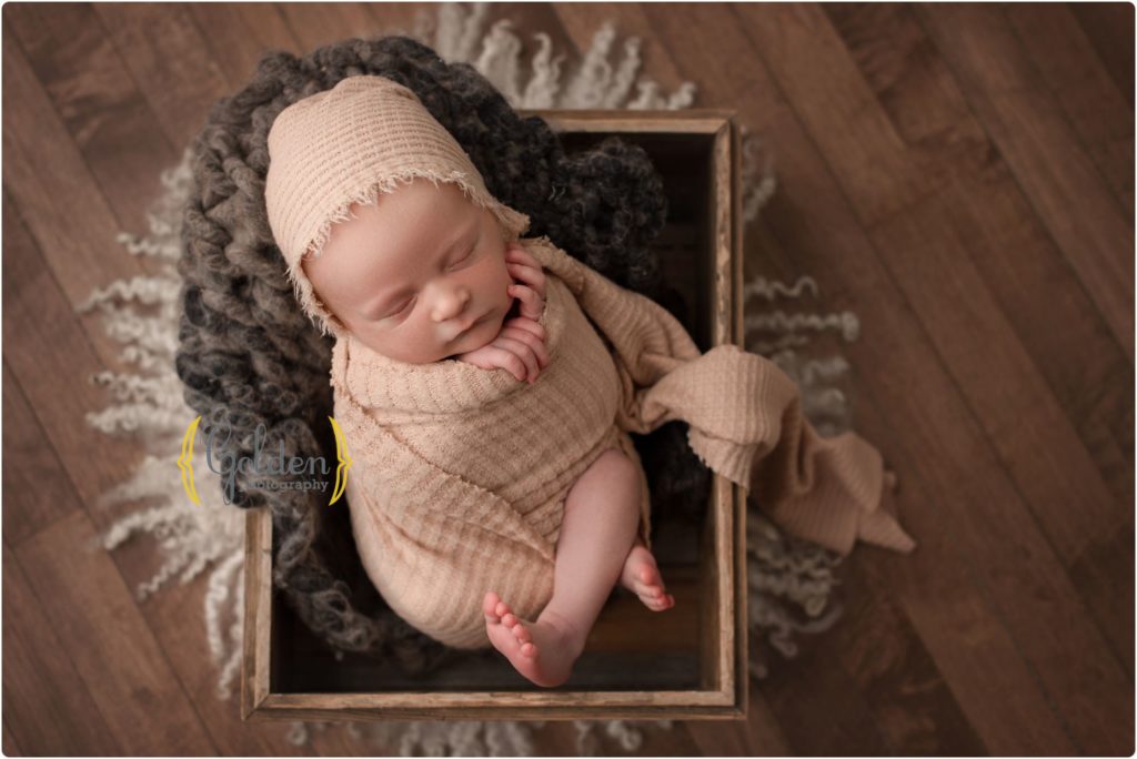 Arlington Heights IL newborn photographer