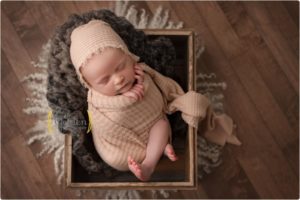 Arlington Heights IL photography