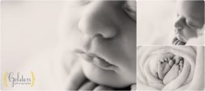 detail photos of newborn near Arlington Heights IL