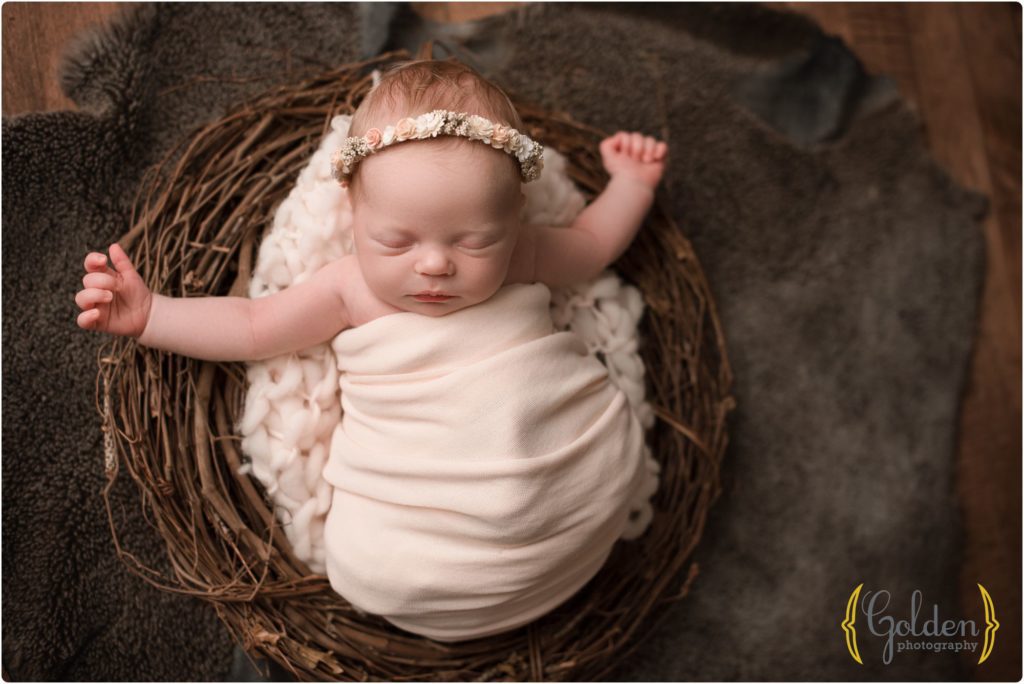newborn girl asleep in nest in Lake County photo studio