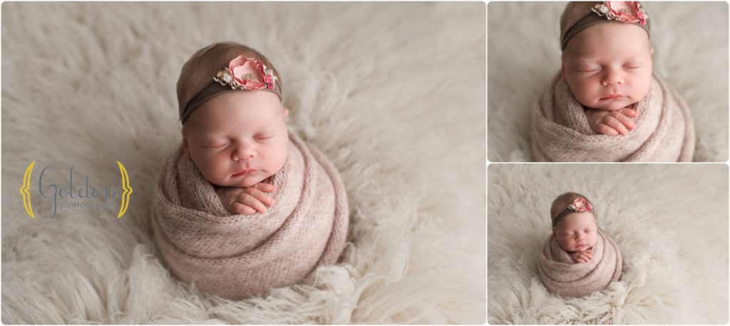 newborn photography Lake Zurich IL