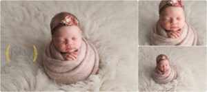 newborn photography Lake Zurich IL
