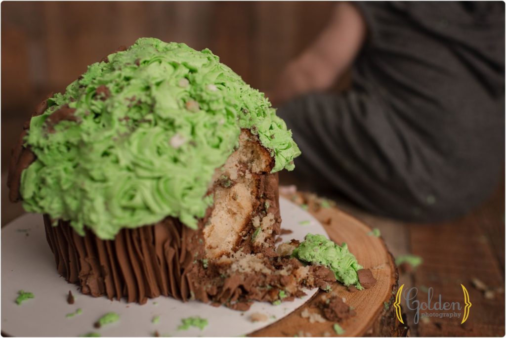 smash cake photographer near Chicago IL