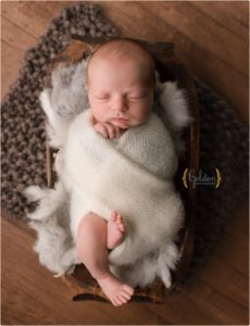 newborn wrapped on fur in Lake County IL photo studio
