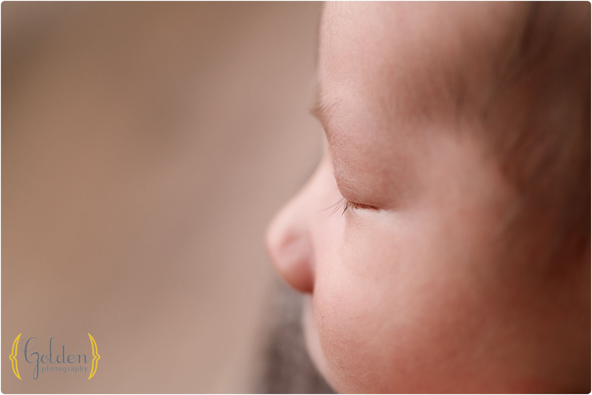 macro photo of newborn in Lake County IL