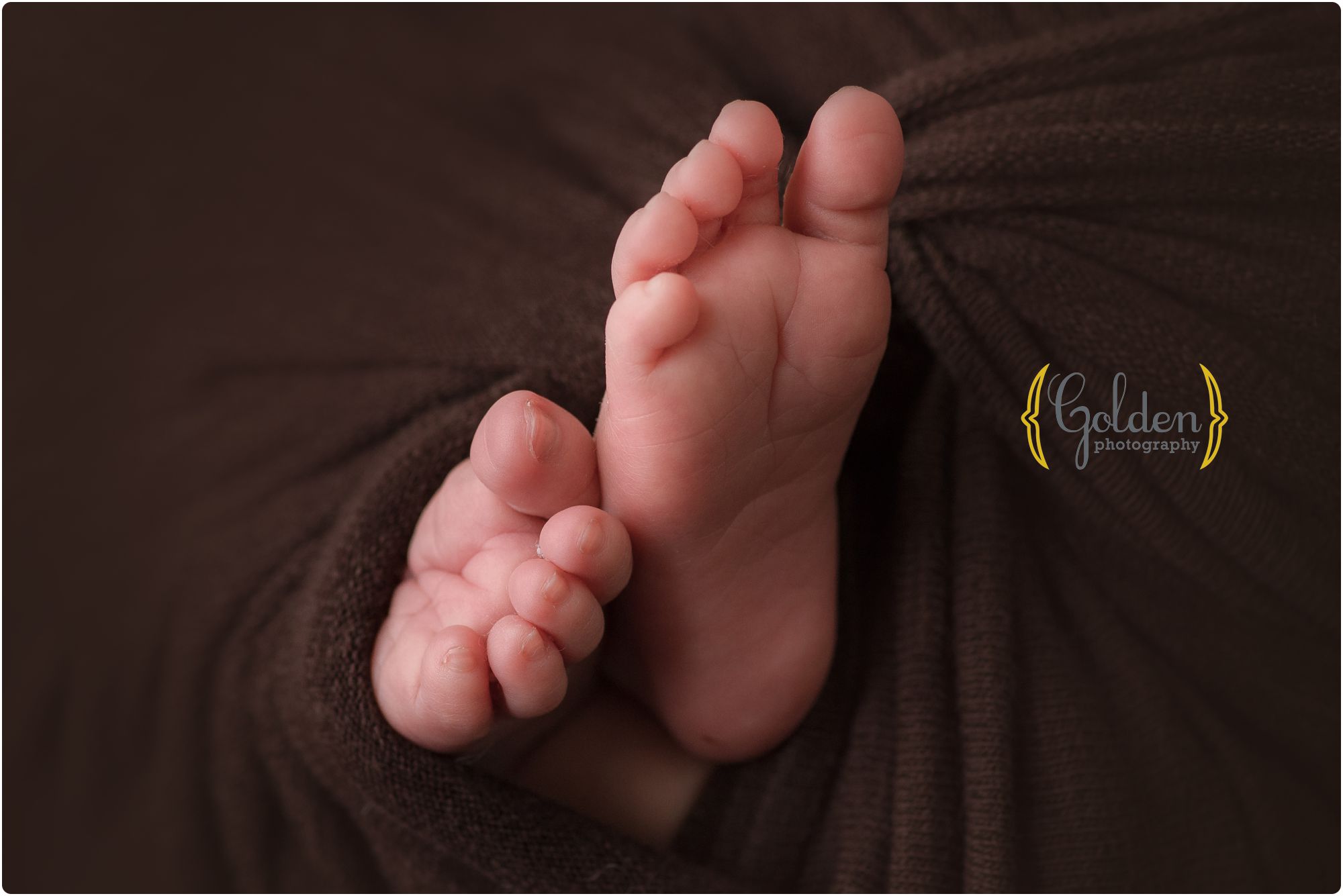 detail photo of newborn feet in photo studio in Lake County IL