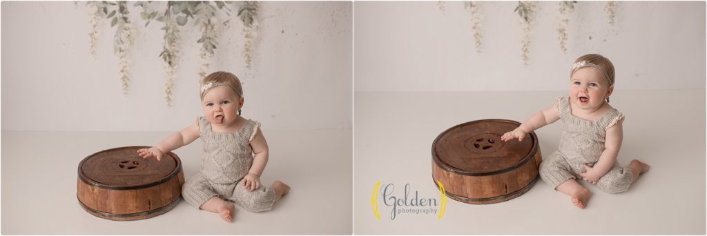 1 year old girl birthday photos in Lake County IL