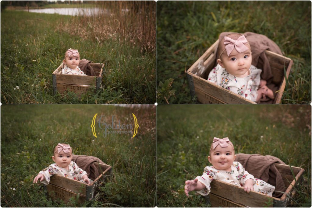 6 month old child sitting in a create in a forest preserve near schaumburg IL for baby photos