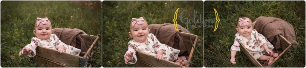 baby girl sitting in a crate during family photo session
