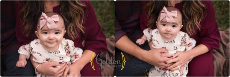 6 month old baby girl in family's lab during family photos in schaumburg IL