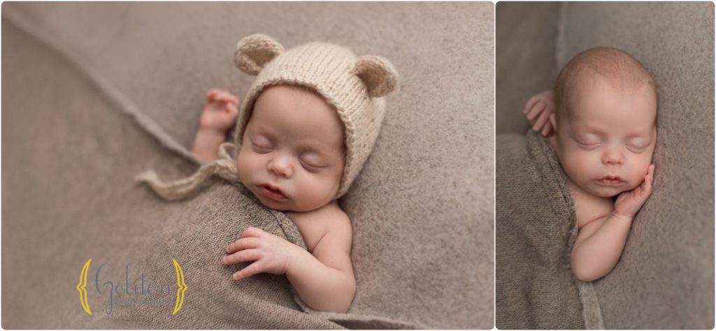 newborn baby wearing bear hat in Lake County IL photography studio