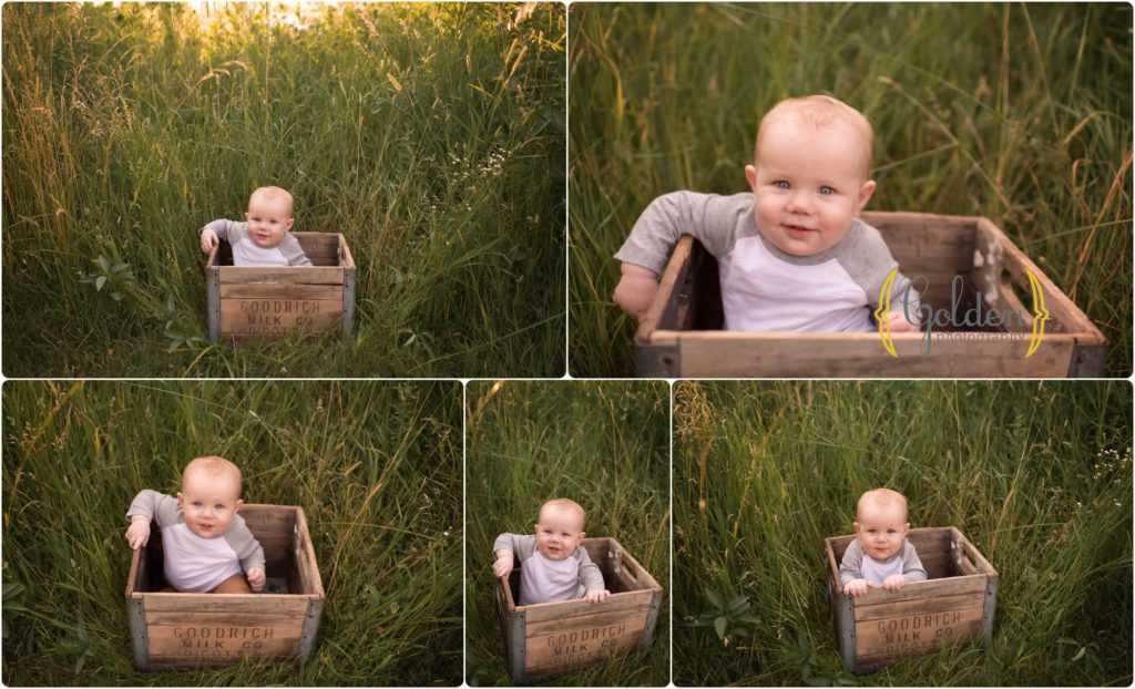little boy sitting inside rustic crate in Lake County IL forest preserve for outdoor family pictures