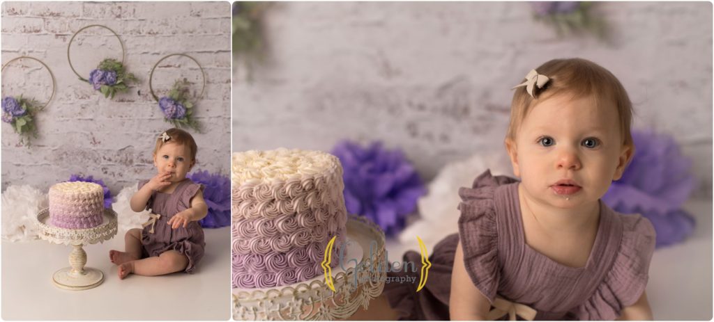 1 year old photo session bear Barrington IL