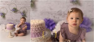 1 year old photo session bear Barrington IL