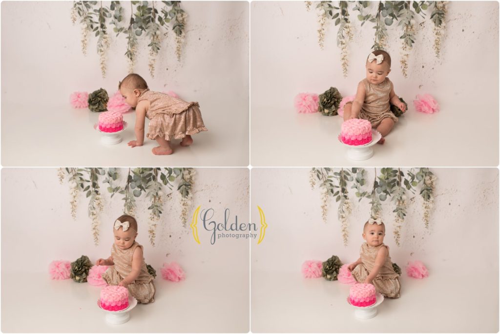 1 year old with smash cake in Lake County IL photo studio