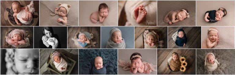 a sample of posed newborns with Chicago photographer Golden Photography.