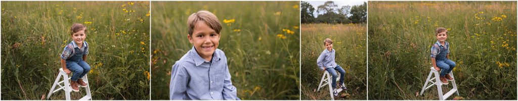 boys sitting on ladder in field of flowers in Deer Park IL