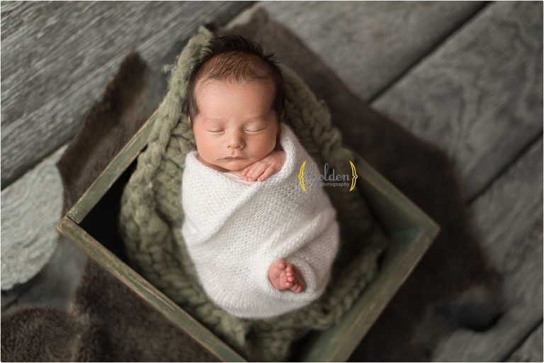 baby swaddled in white in green crate in Lake County IL newborn photo studio