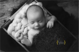 black and white photo of baby near Grayslake IL