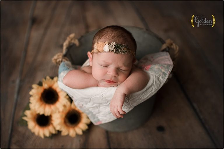 baby asleep in bucket near sunflowers in Lake County newborn photography studio