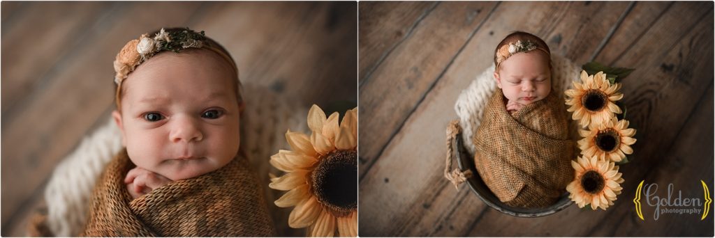 baby swaddled in yellow with sunflower for newborn baby photos in Lake Zurich IL