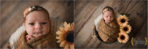 baby swaddled in yellow with sunflower for newborn baby photos in Lake Zurich IL