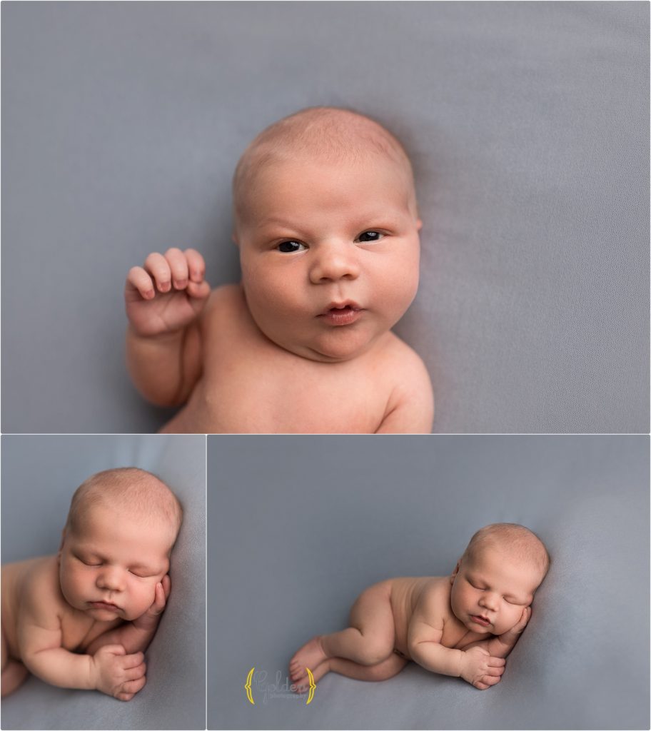 newborn sleeping on blue blanket during photo session in Chicago