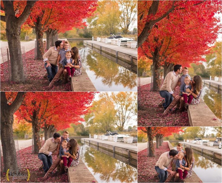 family sitting under red tree for family photos in Barrington IL