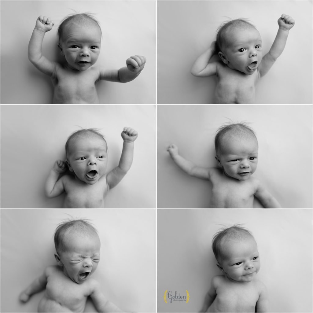 collage of awake baby boy during photo session in Lake Zurich IL