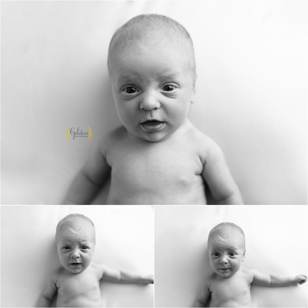 black and white of awake newborn